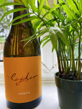 Kojder Solaris Beerenauslese 2018