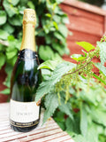 Adoria Brut Nature(Blanc des Blancs) NV