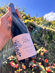 Papillon - Vino Od Francuza Pinot Noir Karbonix 2023